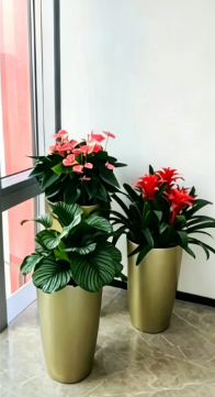 慈溪绿植租摆效果-杭州湾绿植租赁费用-镇海绿植租赁经营模式-江北花卉租赁选择